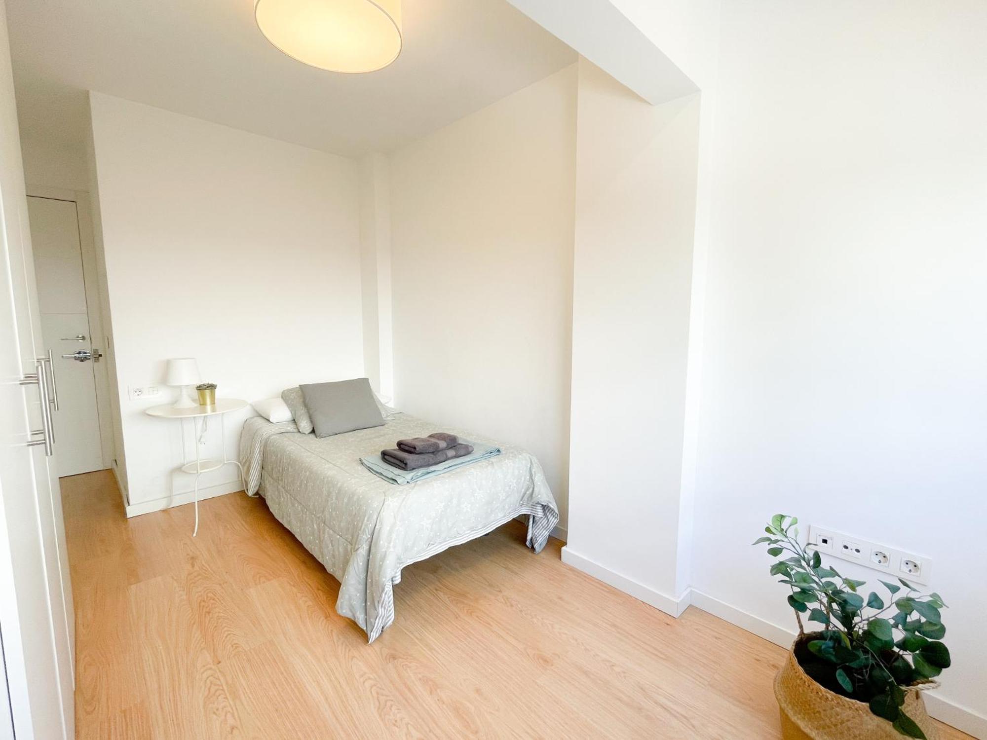 מאלגה Moderno Apartamento Plz De La Merced מראה חיצוני תמונה